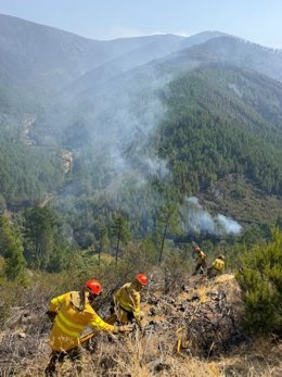 Medios de extinción trabajan sobre el terreno en el incendio de Las Hurdes.