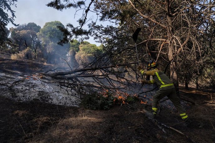 Un bombero trabaja en las tareas de extinción del incendio forestal en la Sierra Oeste de Madrid, en los alrededores del Pantano de San Juan, a 28 de julio de 2026, en Madrid (España). La intensa labor desarrollada durante la noche por el dispositivo de e
