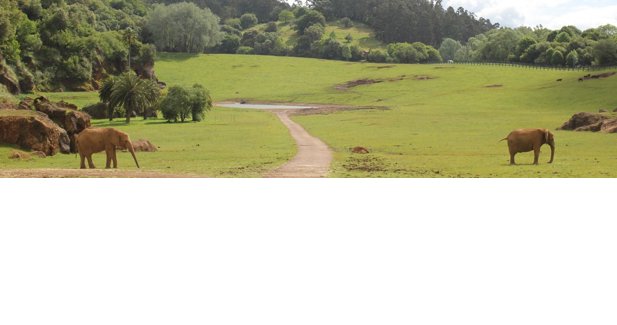 Cantabria Infinita