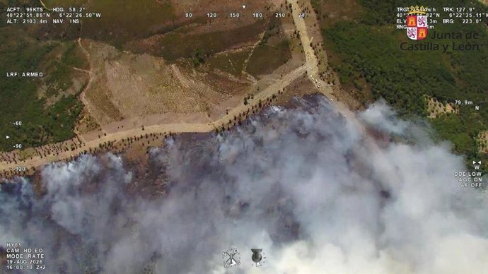 El incendio de Pinofranqueado (Cáceres) salta a la provincia de Salamanca a través de Agallas