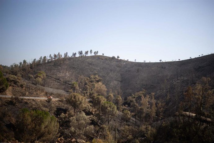Paisaje en la zona del incendio de Niebla.