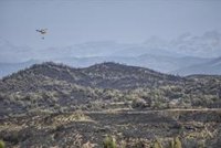 MITECO despliega 15 medios y 5 brigadas y media para ayudar en la extinción de los fuegos en 5 CCAA