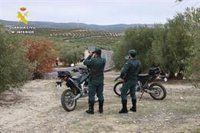 El supuesto avistamiento de un gran felino obliga a la Guardia Civil a un operativo en Sierra de San Vicente