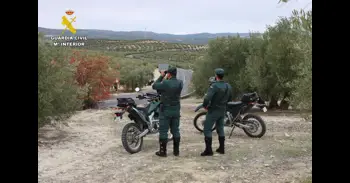 El supuesto avistamiento de un gran felino obliga a la Guardia Civil a un operativo en Sierra de San Vicente