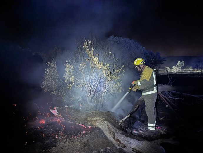 Un bombero de la Comunidad de Madrid trabaja en el incendio en Aldea del Fresno