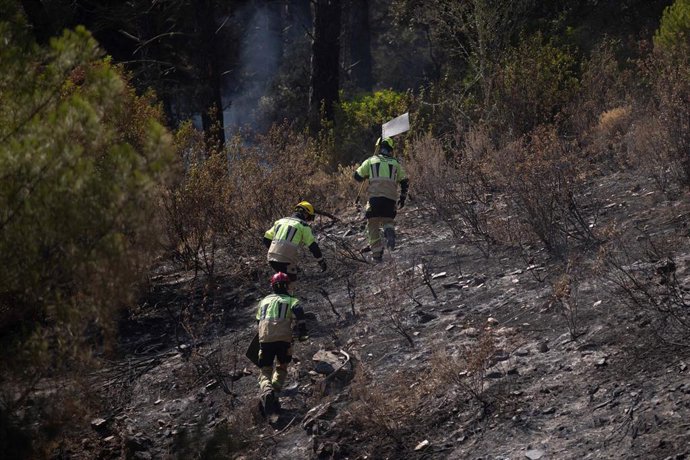 Bomberos trabajan en el incendio de Niebla (Huelva) en una imagen la pasada semana.