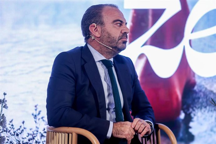 Archivo - El consejero delegado de Meliá Hotels International, Gabriel Escarrer.