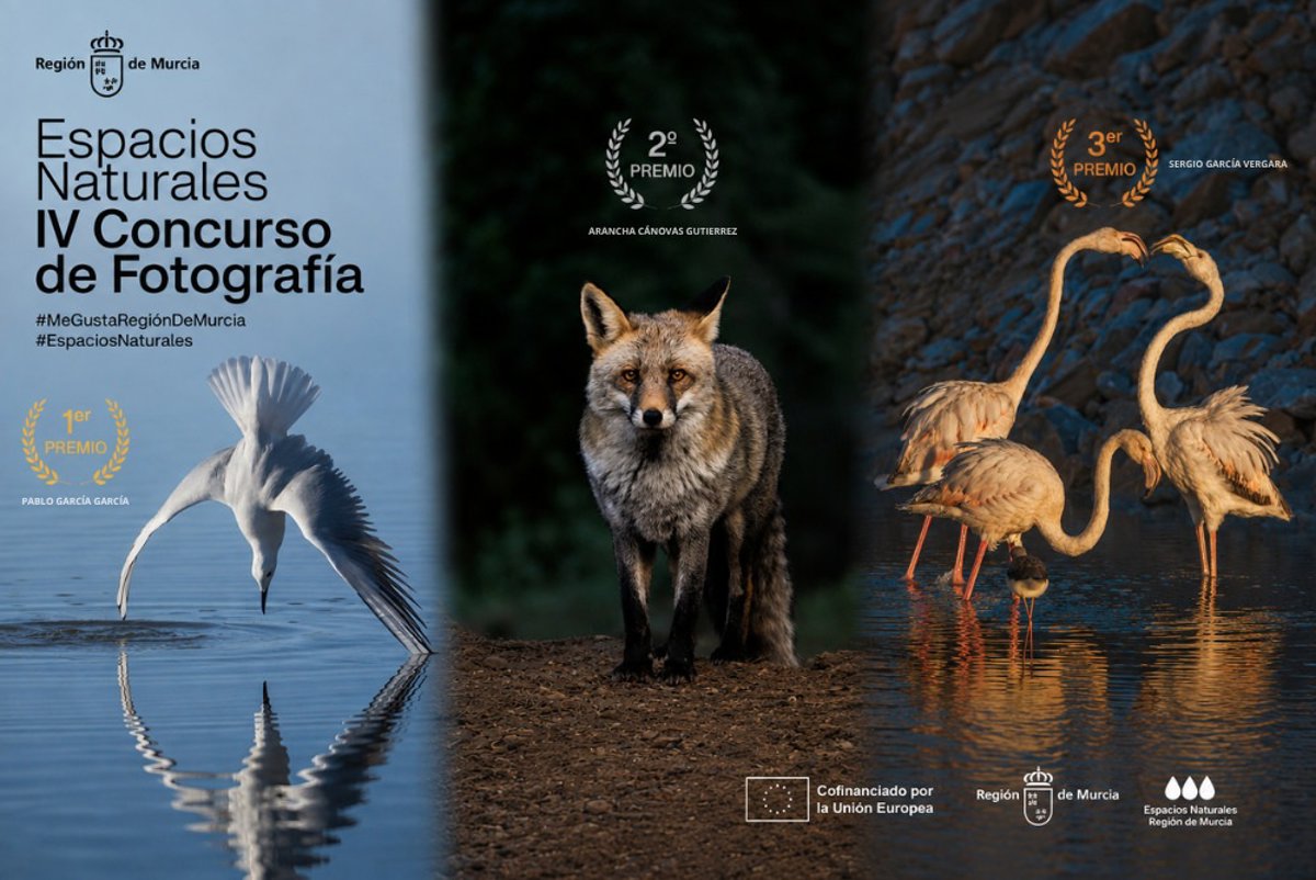La fauna de la Región se impone en el concurso fotográfico #MeGustaRegiónDeMurcia
