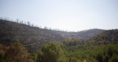 Es Andalucía - Huelva