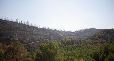 Es Andalucía - Huelva