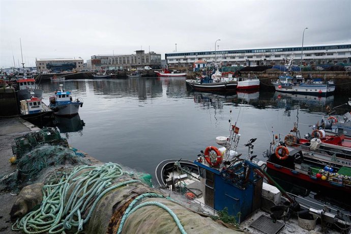 Archivo - Arquivo - Porto de Vigo durante o paro da frota pesqueira de baixura, a 19 de xaneiro de 2026, en Vigo, Pontevedra, Galicia (España). 