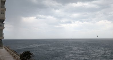 C. Valenciana