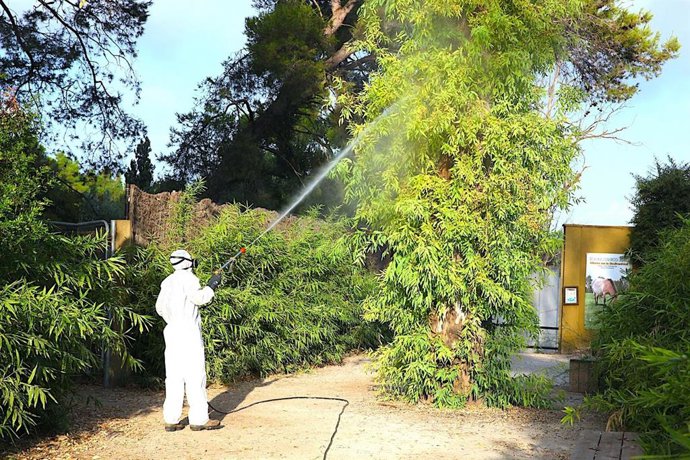 Un operario realizando tareas de fumigación en el Zoobotánico de Jerez tras los dos casos de positivos en Virus del Nilo.