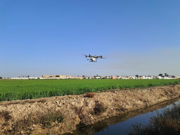 Dron sobrevuela zona rural. Foto de archivo.