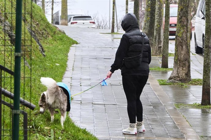 Archivo - Una persona pasea a un perro en un día de lluvia en Cantabria.-ARCHIVO