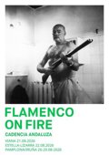 Flamenco On Fire 2026 llega este viernes a Viana y el sábado, a Estella