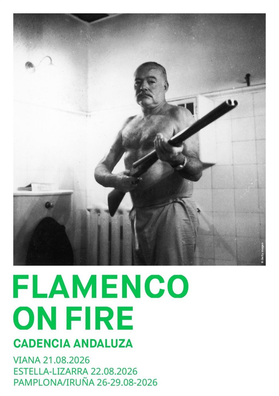 Flamenco On Fire llega este viernes a Viana.