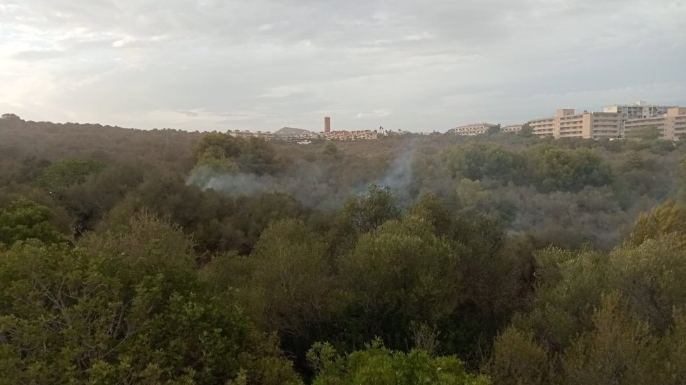 Declarado un incendio forestal en cala Domingos (Manacor)