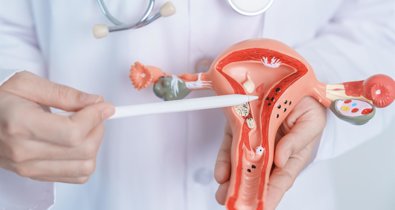 Investigación