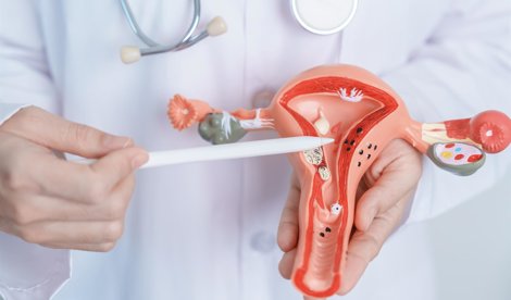 Investigación
