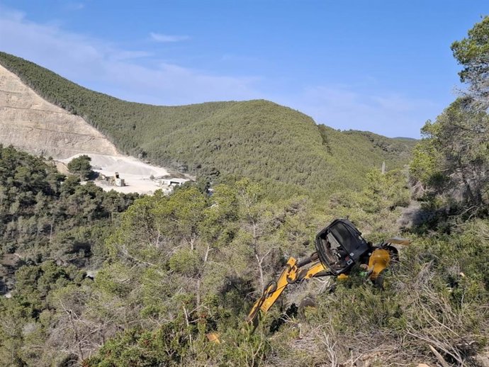 Culmina la restauración de 134 hectáreas forestales para reforzar la prevención de incendios en Baleares.