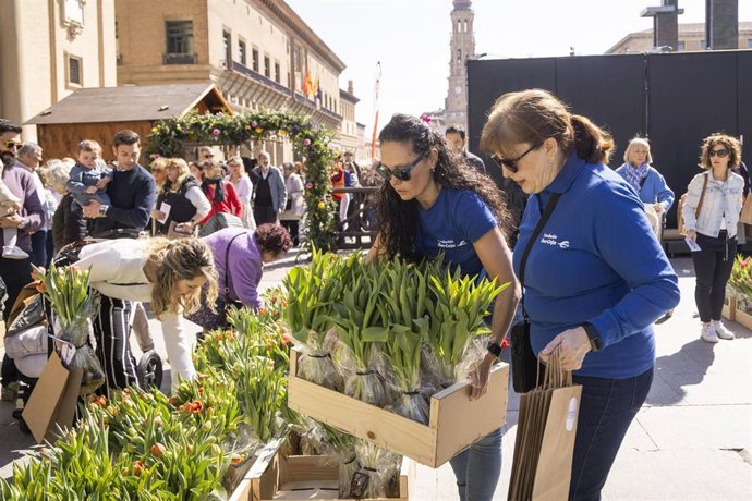 Voluntariado Corporativo de Ibercaja con su Fundación.