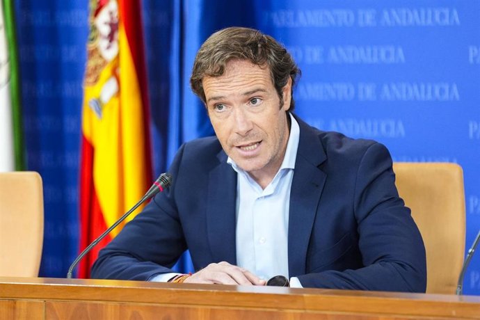 El portavoz del grupo parlamentario Vox, Javier Cortés, durante la ronda de ruedas de prensa de portavoces de los grupos parlamentarios en el Parlamento de Andalucía. Imagen de archivo.
