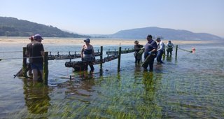 Pesca Galicia