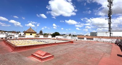 Jerez al día