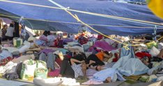 Migración