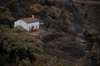 El incendio de Niebla deja un paisaje desolador en Berrocal (Huelva). A 15 de agosto de 2026 en Berrocal (Huelva, Andalucía, España). El incendio de Niebla (Huelva), que supera las 38.000 hectáreas recorridas tras más de una semana activo, ha golpeado con