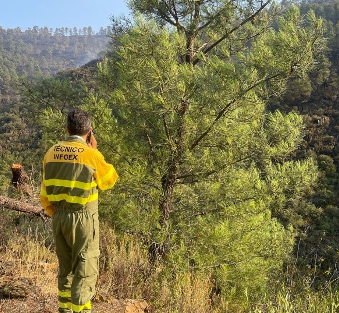 Técnico del Plan Infoex en el incendio de Pinofranqueado (Cáceres).