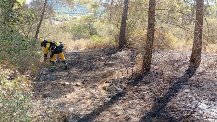 Incendio forestal en Llucmajor.