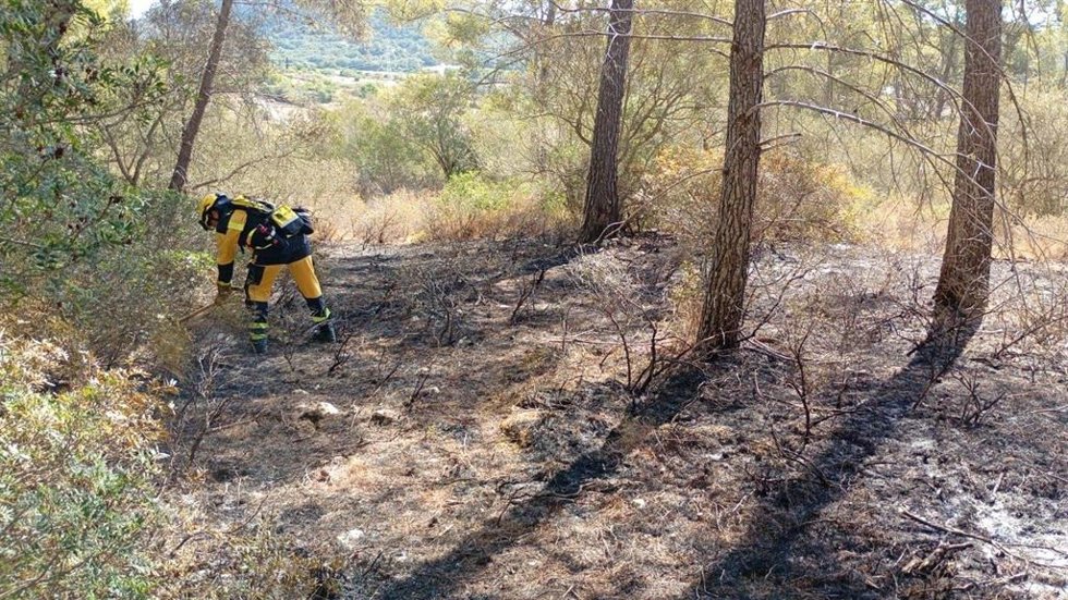 Incendio forestal en Llucmajor.