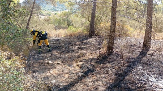 Incendio forestal en Llucmajor.