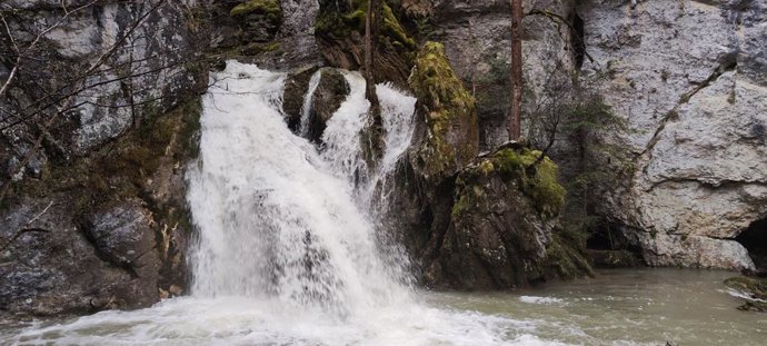 Cascada.