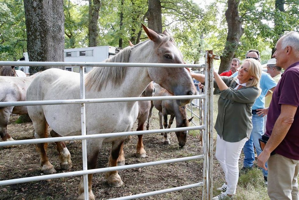 La consejera María Jesús Susinos acaricia un caballo, durante el Día de Soba