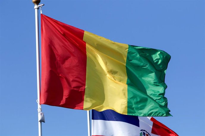 Archivo - Bandera de la República de Guinea