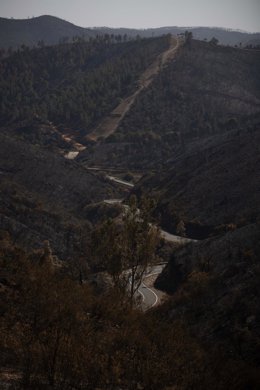 El incendio de Niebla deja un paisaje desolador en Berrocal (Huelva). 