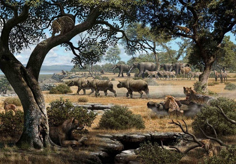 Archivo - Ilustración de reconstrucción de Cerro de los Batallones (Madrid) durante el Mioceno