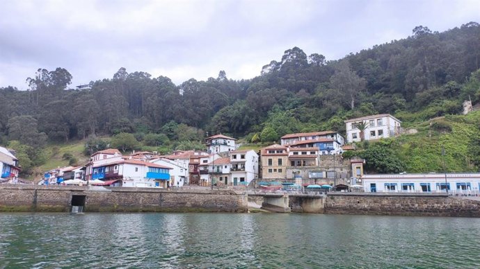 Archivo - Tazones