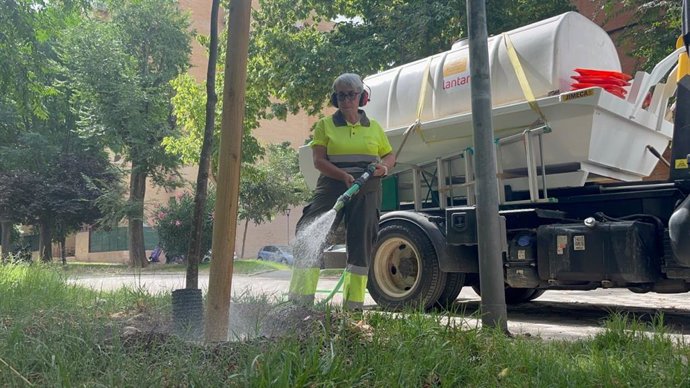 Imagen de un trabajador regando el arbolado en Sevilla.