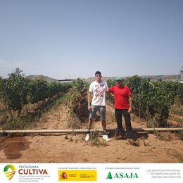 Un viticultor madrileño participa en La Rioja en el Programa Cultiva para conocer el manejo del viñedo riojano