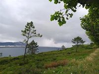 Las fuertes lluvias y las rachas de viento dejarán una jornada inestable en buena parte de España este lunes