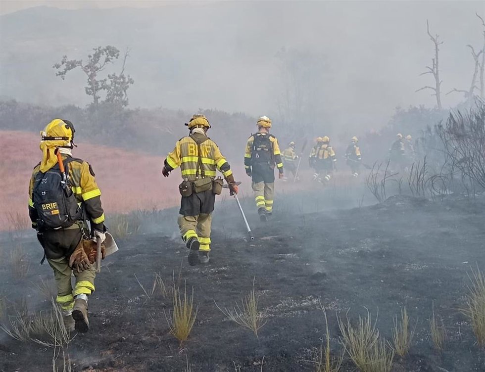 Agentes de la BRIF de Laza en el incendio forestal de Chandrexa de Queixa (Ourense), a 22 de agosto de 2026.