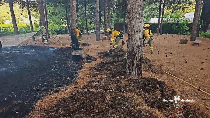 Servicios de emergencia trabajan en la extinción de un incendio en el paraje de El Argaz, en Cieza