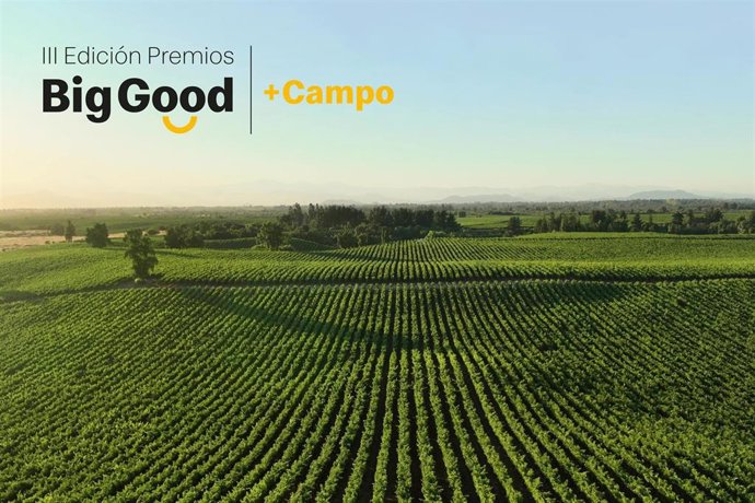 III edición de los Premios Big Good.