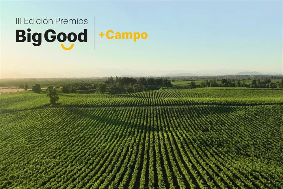 III edición de los Premios Big Good.