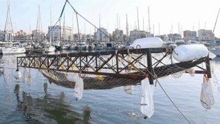 Archivo - Pecio de Ses Fontanelles en el momento de su extracción del mar.
