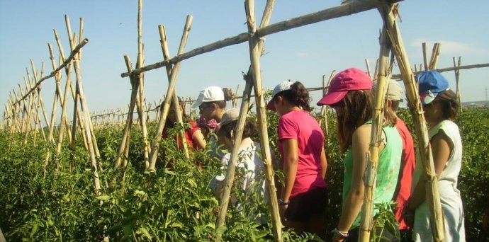 Un grupo de escolares, de visita en el Campus de La Alfranca.